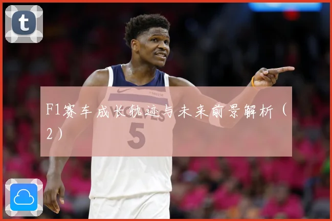 F1赛车成长轨迹与未来前景解析（2）