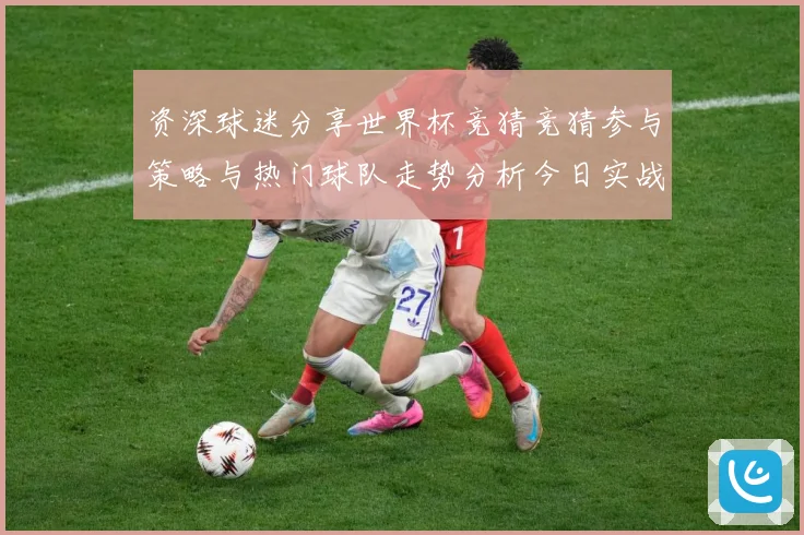 资深球迷分享世界杯竞猜竞猜参与策略与热门球队走势分析今日实战数据研判