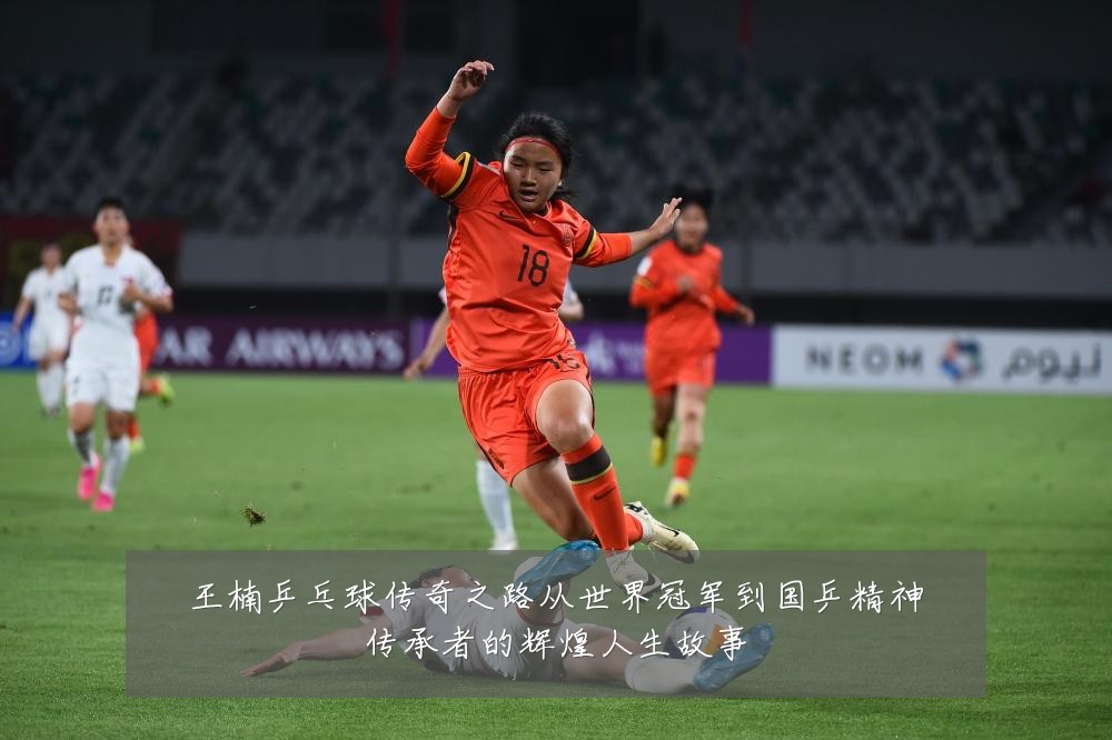 王楠乒乓球传奇之路从世界冠军到国乒精神传承者的辉煌人生故事